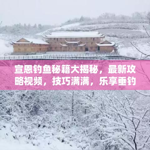 宣恩釣魚秘籍大揭秘，最新攻略視頻，技巧滿滿，樂享垂釣時(shí)光