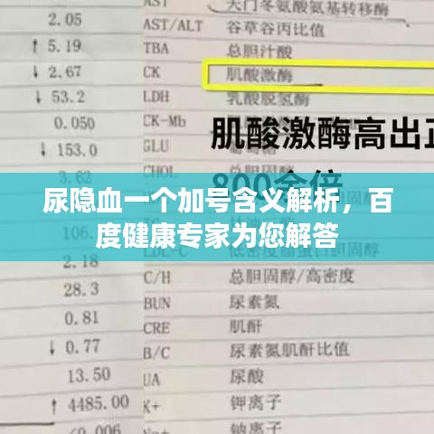尿隱血一個加號含義解析，百度健康專家為您解答