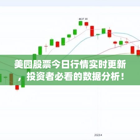 美園股票今日行情實時更新，投資者必看的數(shù)據(jù)分析！