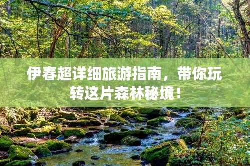 伊春超詳細(xì)旅游指南，帶你玩轉(zhuǎn)這片森林秘境！
