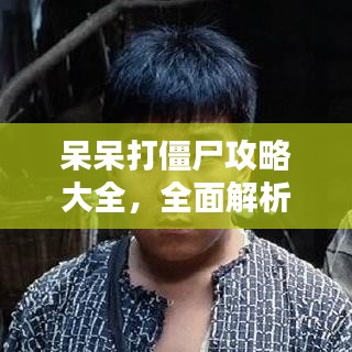呆呆打僵尸攻略大全，全面解析助你輕松通關(guān)！