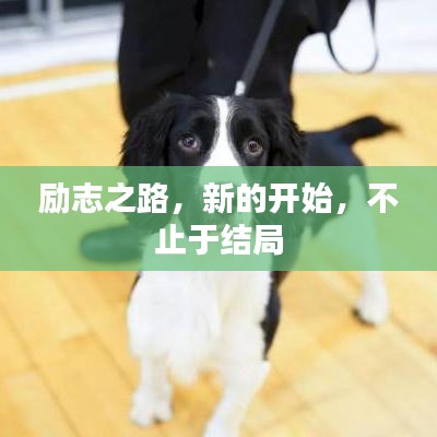 勵志之路，新的開始，不止于結局