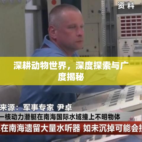 深耕動物世界，深度探索與廣度揭秘