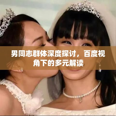 男同志群體深度探討，百度視角下的多元解讀