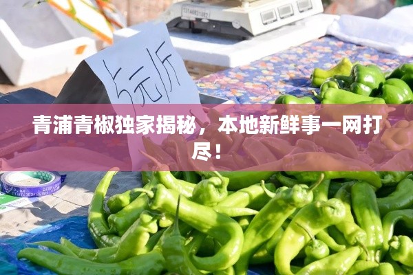 青浦青椒獨(dú)家揭秘，本地新鮮事一網(wǎng)打盡！