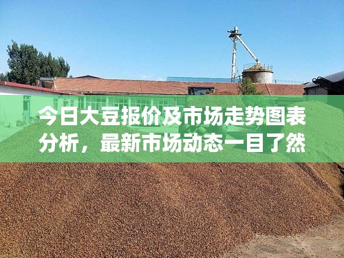 今日大豆報(bào)價(jià)及市場(chǎng)走勢(shì)圖表分析，最新市場(chǎng)動(dòng)態(tài)一目了然