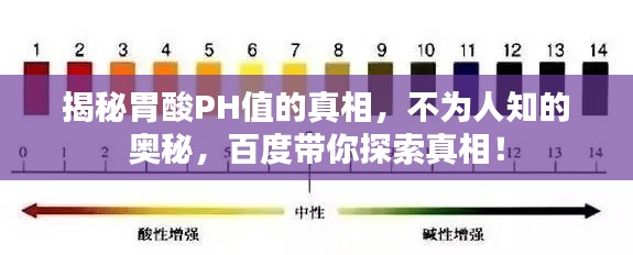 揭秘胃酸PH值的真相，不為人知的奧秘，百度帶你探索真相！