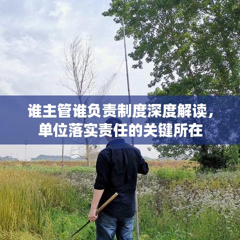 誰主管誰負責制度深度解讀，單位落實責任的關鍵所在