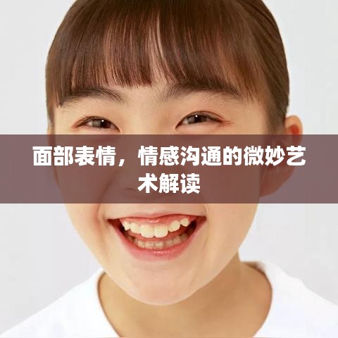 面部表情，情感溝通的微妙藝術(shù)解讀