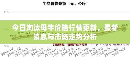 今日淘汰母牛價(jià)格行情更新，最新消息與市場(chǎng)走勢(shì)分析