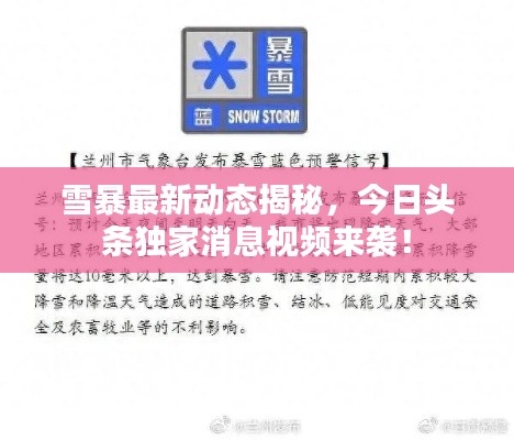 雪暴最新動(dòng)態(tài)揭秘，今日頭條獨(dú)家消息視頻來(lái)襲！