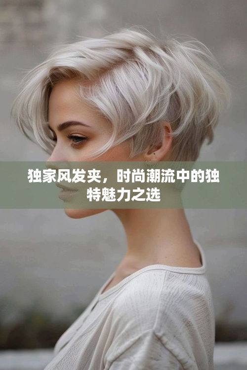 獨(dú)家風(fēng)發(fā)夾，時(shí)尚潮流中的獨(dú)特魅力之選