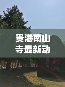 貴港南山寺最新動態(tài)新聞?lì)^條