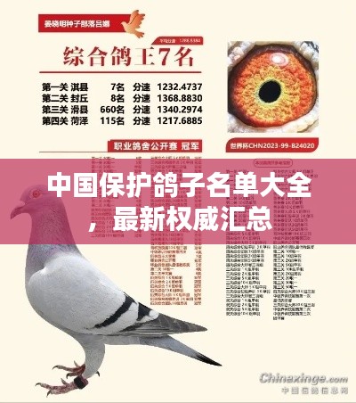 中國保護鴿子名單大全，最新權威匯總