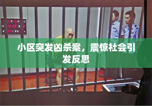 小區(qū)突發(fā)兇殺案，震驚社會(huì)引發(fā)反思