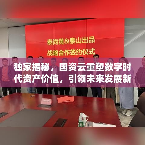 獨(dú)家揭秘，國(guó)資云重塑數(shù)字時(shí)代資產(chǎn)價(jià)值，引領(lǐng)未來(lái)發(fā)展新篇章