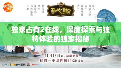 獨(dú)家占有2在線，深度探索與獨(dú)特體驗(yàn)的獨(dú)家揭秘