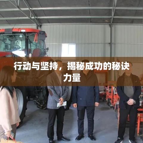 行動與堅持，揭秘成功的秘訣力量