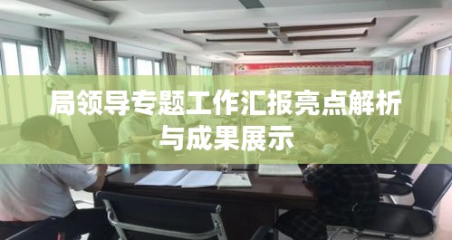 局領(lǐng)導(dǎo)專題工作匯報亮點解析與成果展示