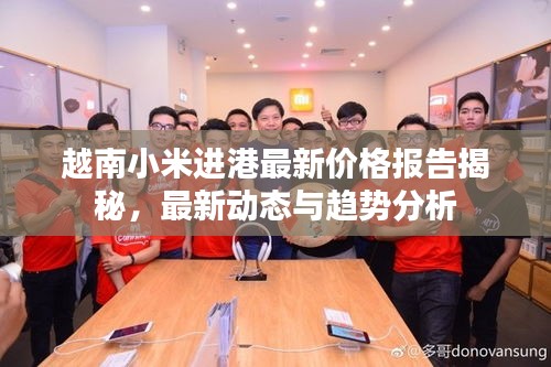 越南小米進(jìn)港最新價(jià)格報(bào)告揭秘，最新動(dòng)態(tài)與趨勢(shì)分析