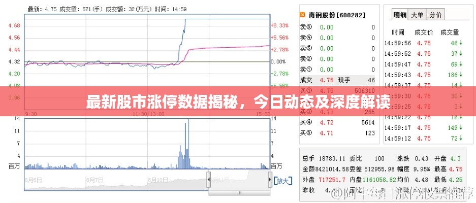 最新股市漲停數(shù)據(jù)揭秘，今日動(dòng)態(tài)及深度解讀