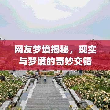 網(wǎng)友夢境揭秘，現(xiàn)實與夢境的奇妙交錯