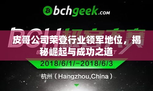 皮哥公司榮登行業(yè)領(lǐng)軍地位，揭秘崛起與成功之道