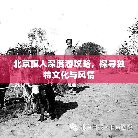 北京旗人深度游攻略，探尋獨(dú)特文化與風(fēng)情