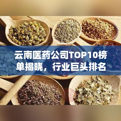 云南醫(yī)藥公司TOP10榜單揭曉，行業(yè)巨頭排名一覽