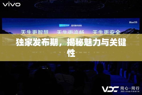 獨家發(fā)布期，揭秘魅力與關(guān)鍵性