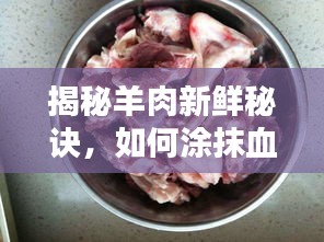 揭秘羊肉新鮮秘訣，如何涂抹血液讓肉質(zhì)更鮮嫩？