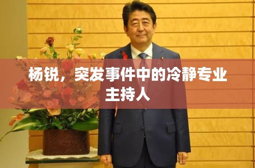 楊銳，突發(fā)事件中的冷靜專業(yè)主持人