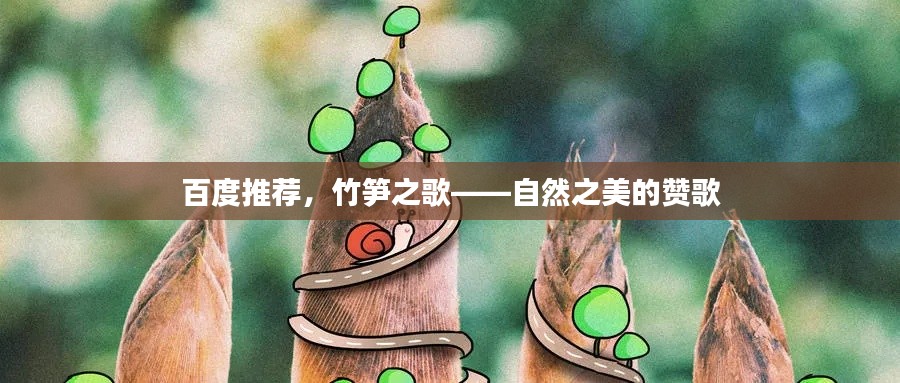 百度推薦，竹筍之歌——自然之美的贊歌