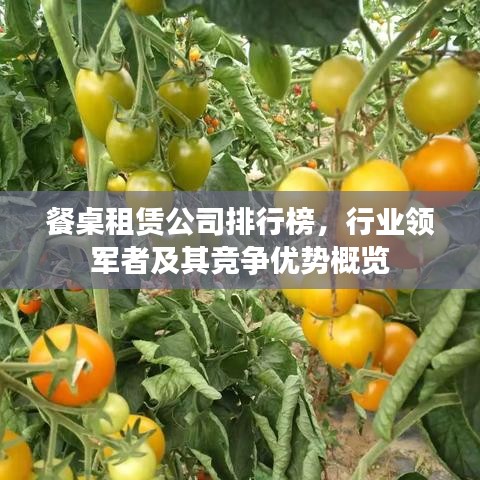 餐桌租賃公司排行榜，行業(yè)領(lǐng)軍者及其競(jìng)爭(zhēng)優(yōu)勢(shì)概覽