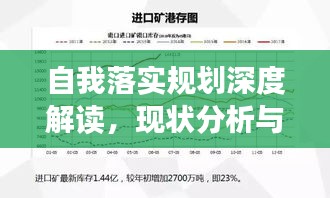 自我落實(shí)規(guī)劃深度解讀，現(xiàn)狀分析與未來(lái)展望