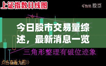 今日股市交易量綜述，最新消息一覽