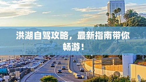 洪湖自駕攻略，最新指南帶你暢游！