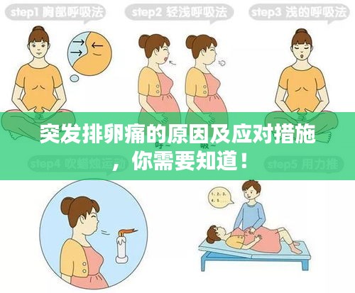突發(fā)排卵痛的原因及應對措施，你需要知道！