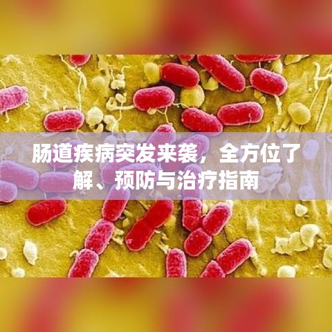 腸道疾病突發(fā)來襲，全方位了解、預防與治療指南