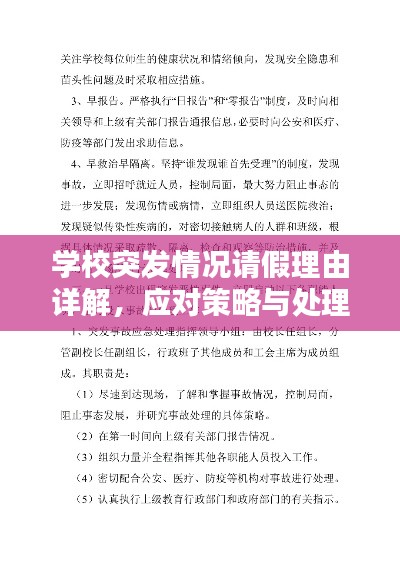 學(xué)校突發(fā)情況請(qǐng)假理由詳解，應(yīng)對(duì)策略與處理之道