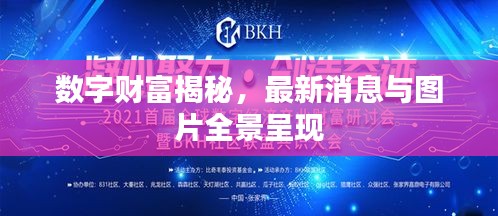 數(shù)字財(cái)富揭秘，最新消息與圖片全景呈現(xiàn)
