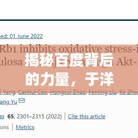 揭秘百度背后的力量，于洋老師展現(xiàn)女性魅力與智慧