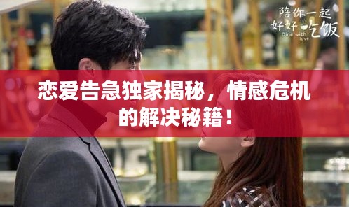 戀愛告急獨家揭秘，情感危機(jī)的解決秘籍！