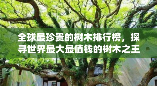 標(biāo)新創(chuàng)異 第2頁(yè)