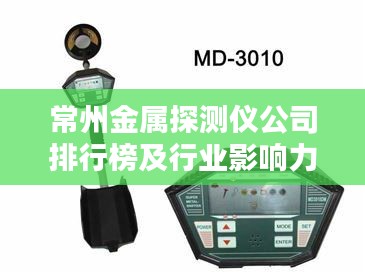 常州金屬探測(cè)儀公司排行榜及行業(yè)影響力解析