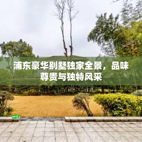 浦東豪華別墅獨(dú)家全景，品味尊貴與獨(dú)特風(fēng)采
