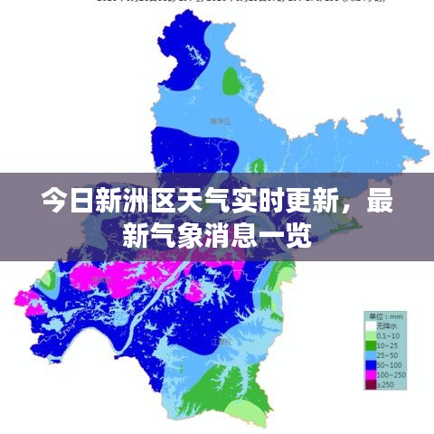 今日新洲區(qū)天氣實時更新，最新氣象消息一覽