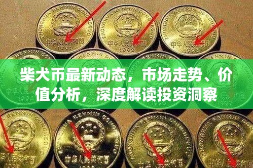 柴犬幣最新動(dòng)態(tài)，市場(chǎng)走勢(shì)、價(jià)值分析，深度解讀投資洞察