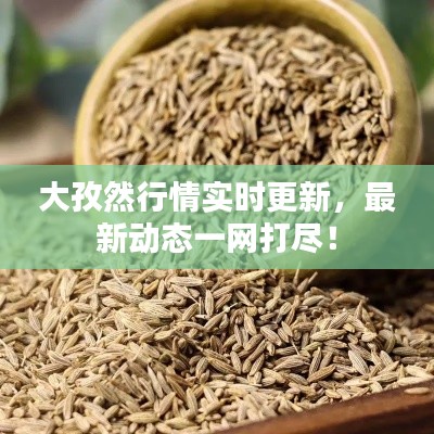 大孜然行情實(shí)時(shí)更新，最新動(dòng)態(tài)一網(wǎng)打盡！