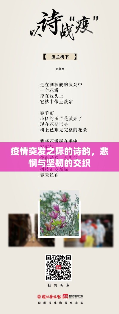 疫情突發(fā)之際的詩韻，悲憫與堅(jiān)韌的交織
